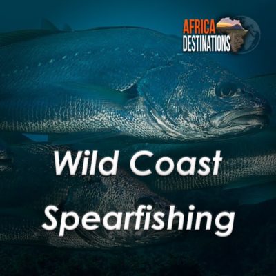 Wild-Coast-Spearfishing-Africa-Destinations