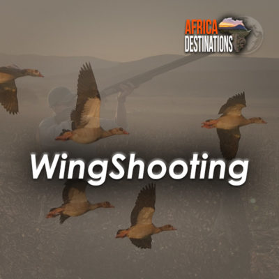 WingShooting South Africa Africa Destinations