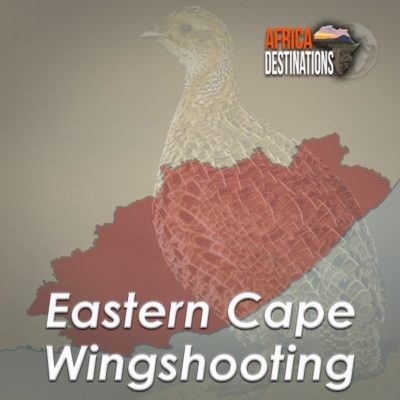 Wingshooting-Eastern-Cape-Province-Africa-Destinations