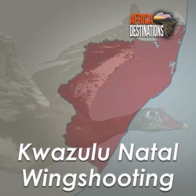 Wingshooting-Kwazulu-Natal-Province-Africa-Destinations