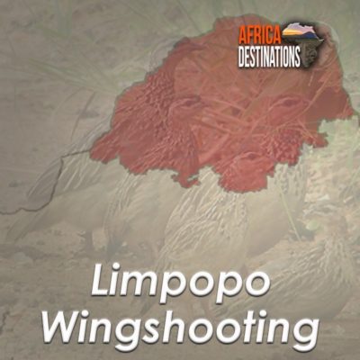 Wingshooting-Limpopo-Province-Africa-Destinations