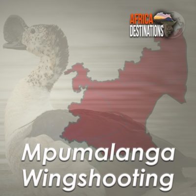 Wingshooting-Mpumalanga-Province-Africa-Destinations