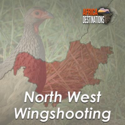 Wingshooting-North-West-Province-Africa-Destinations