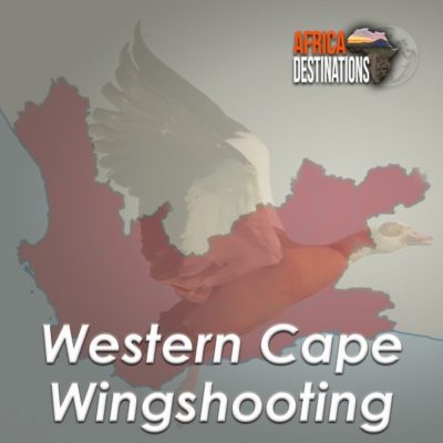 Wingshooting-Western-Cape-Province-Africa-Destinations