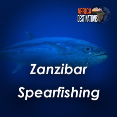 Zanzibar-Spearfishing-Africa-Destinations