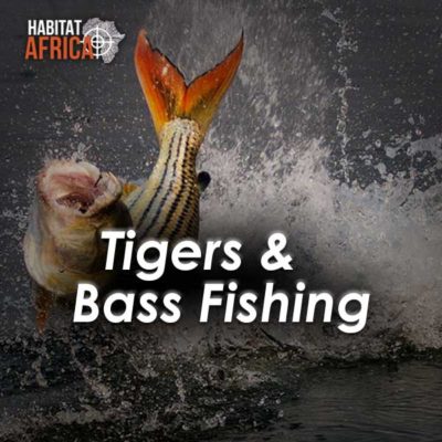 Bass-Tigerfish-Destinations-Habitat-Africa