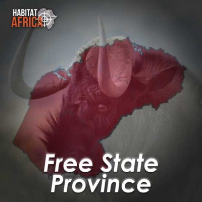 Free-State-Hunting-Destinations-Habitat-Africa