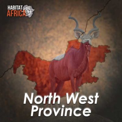 NorthWest-Hunting-Destinations-Habitat-Africa