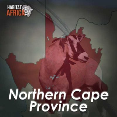 Northern-Cape-Hunting-Destinations-Habitat-Africa