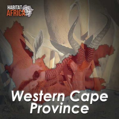 Western-Cape-Hunting-Destinations-Habitat-Africa